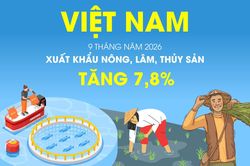 Xuất khẩu n&ocirc;ng, l&acirc;m, thủy sản tăng 7,8% trong 9 th&aacute;ng năm 2026
