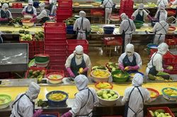 Nông, lâm, thủy sản duy trì đà tăng trưởng tích cực