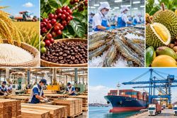 Việt Nam xuất siêu gần 17 tỷ USD từ nông, lâm, thủy sản