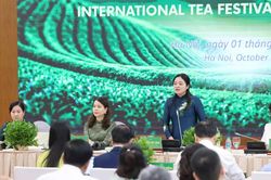Festival Trà quốc tế - Thái Nguyên năm 2026 sẽ diễn ra từ 30-10 đến 7-11
