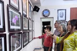 'Khoảnh khắc và cuộc sống' qua ống kính người cao tuổi