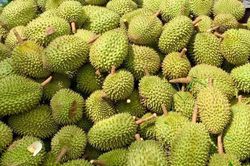 Khởi tố 39 người liên quan vụ án xuất khẩu sầu riêng