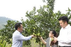 Thanh Hóa đổi thay diện mạo vùng khó khăn nhờ giảm nghèo bền vững