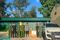 Bắt giữ vụ vận chuyển 960kg trứng gà non đông lạnh không rõ nguồn gốc