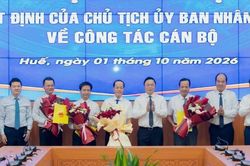 Huế bổ nhiệm hàng loạt cán bộ, kiện toàn lãnh đạo các sở, ban quản lý
