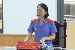 Tòa chấp nhận đề nghị của Kiểm sát viên, tuyên hủy các giấy góp vốn khống tại Naviland