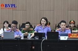 Viện kiểm sát xác định Mai Anh giữ vai trò trung tâm trong đường dây giám định tâm thần để trục lợi