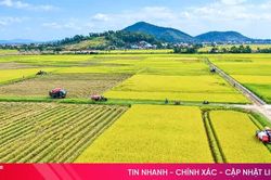 Ngành NN&MT Hà Tĩnh đóng góp tích cực vào tăng trưởng chung của tỉnh