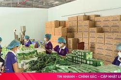 Khởi nghiệp sáng tạo trong dòng chảy đổi mới