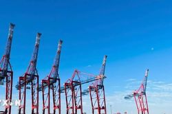 Thúc đẩy xuất khẩu càphê Việt Nam sang Đức và kết nối logistics tại cảng Hamburg