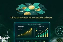 Thị trường carbon Việt Nam cần lực kéo để tạo thanh khoản