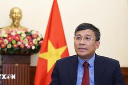 Thứ trưởng Bộ Ngoại giao: Triển khai ba tầng phối hợp để tổ chức Năm APEC 2027