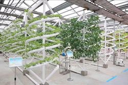 Thúc đẩy hợp tác nông nghiệp giữa các địa phương Việt Nam - Hắc Long Giang (Trung Quốc)