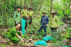 Đưa 31 cá thể động vật rừng quý, hiếm trở lại môi trường tự nhiên