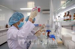Khánh Hòa tổ chức Ngày hội Công nghệ số năm 2026