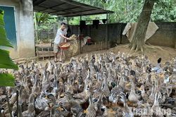 Cổ Lũng khai thác lợi thế địa phương, phát triển các mô hình kinh tế