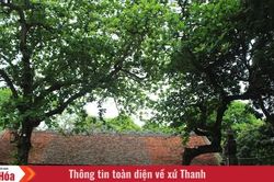 Dấu xưa trên đất Hạc Thành