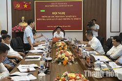 Thông qua dự thảo báo cáo kết quả kiểm tra, giám sát công tác cán bộ đối với Ban Thường vụ Đảng ủy 9 xã