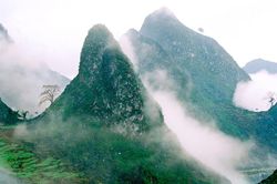 Phục hồi và bảo tồn 10.000 ha hệ sinh thái rừng, phát triển sinh kế tại Tuyên Quang