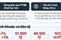 VinaCapital: Sau nâng hạng, tâm điểm thị trường quay về yếu tố cơ bản doanh nghiệp