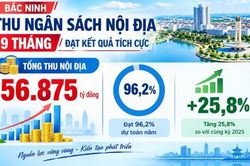 Bắc Ninh: Thu nội địa 9 tháng đạt 96,2% dự toán năm