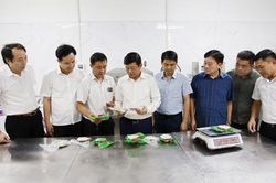 Phó Chủ tịch UBND thành phố Ngô Tân Phượng kiểm tra tình hình phát triển kinh tế tập thể trên địa bàn