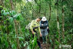 Sản phẩm du lịch ‘Katien Ranger Patrol’ tại Vườn quốc gia Cát Tiên vào vòng chung kết Giải thưởng Dự án Du lịch xuất sắc nhất thế giới