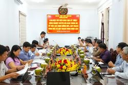 Hoài Nhơn định hướng phát triển vùng trồng dừa và cây dược liệu