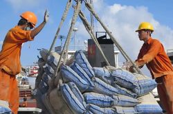Xi măng Việt Nam bị Nam Phi điều tra chống bán phá giá, biên độ cáo buộc 37,04%