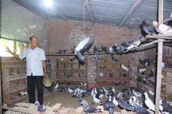 Người cao tuổi làm kinh tế giỏi