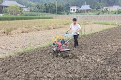 Lâm Thượng tăng tốc sản xuất vụ đông, bảo đảm khung thời vụ