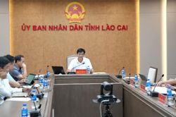 Lào Cai tham dự hội nghị trực tuyến về rà soát, tháo gỡ vướng mắc các công trình trọng điểm