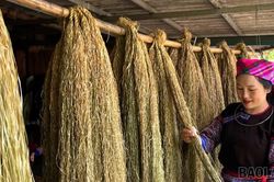 Giữ nghề truyền thống, mở hướng sinh kế