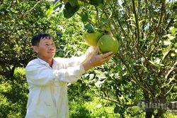 Nêu gương sáng trong phát triển kinh tế