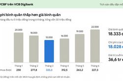 Đầu tư định kỳ: Lời giải cho bài toán "có tiền nhàn rỗi nhưng không có thời gian"
