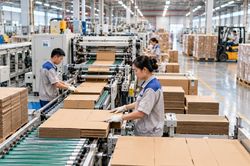 Bao bì không còn là 'lớp vỏ' khi doanh nghiệp xanh hóa, số hóa