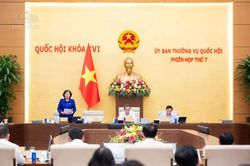 Sửa Luật Đất đai: Khơi thông nguồn lực nhưng phải bảo đảm quyền lợi người dân