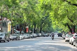 Thời tiết Hà Nội dịu mát