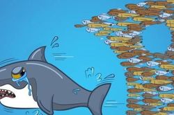 Hàng loạt quỹ ngoại tỷ USD báo lỗ, Dragon Capital và Pyn Elite Fund hụt hơi trước biến động của cổ phiếu