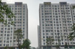 Hải Phòng phấn đấu diện tích nhà ở bình quân đạt trên 37 m2 sàn/người