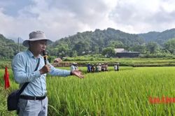 Đánh giá kết quả mô hình trình diễn giống lúa lai tại xã Nam Tuấn
