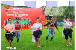 Tổ chức Ngày Văn hóa Việt Nam trang trọng, ý nghĩa