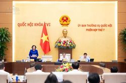 Hạn chế tối đa việc thu hồi đất ở để đấu giá tạo nguồn thu cho Nhà nước