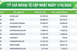 Tỷ giá ngoại tệ ngày 1/10: USD ổn định, SGD vượt 20.600 đồng, AUD trên 18.400 đồng