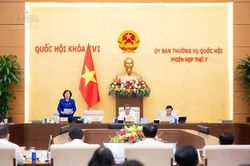 Ủy ban Thường vụ Quốc hội cho ý kiến về dự án Luật Đất đai (sửa đổi)
