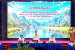Phát triển nông nghiệp sinh thái: Từ mô hình riêng lẻ đến chuyển đổi cả hệ thống