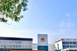 Vụ tiêu cực tại Trường THPT chuyên Tuyên Quang: Đã khởi tố 41 bị can