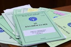 Hơn 135.000 đơn vị chậm đóng bảo hiểm, TPHCM yêu cầu xử lý quyết liệt