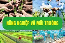 Dự thảo Nghị định Sửa đổi, bổ sung một số điều của các nghị định lĩnh vực nông nghiệp và môi trường