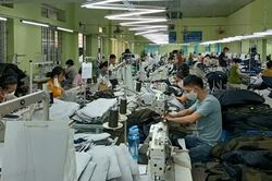 Vinatex đạt doanh thu hơn 15,5 nghìn tỷ đồng